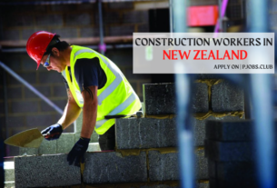 Career Opportunity | Construction workers in New Zealand 2023