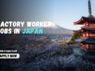 FACTORY WORKER JOBS IN JAPAN